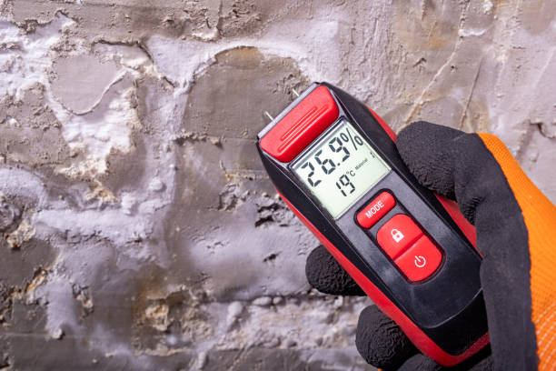 Best Crawl Space Mold Remediation in Hickory Creek, TX